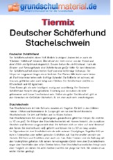 Deutscher Schäferhund - Stachelschwein.pdf